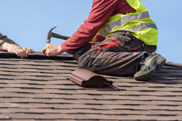 Best Roof Gutter Cleaning  in Petoskey, MI