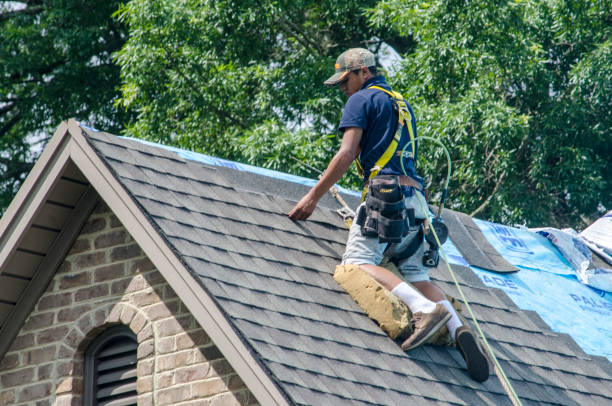 Best New Roof Installation  in Petoskey, MI